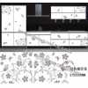 水轉印，家具水轉印，家具水移畫