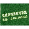 唐山草坪維護注意哪些？