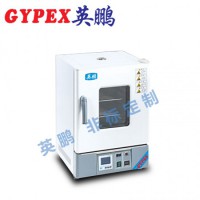 惠州化工廠干燥箱，立式電熱鼓風干燥箱