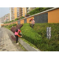 供應河南無病蟲害的園林景觀-河南私家庭院設計